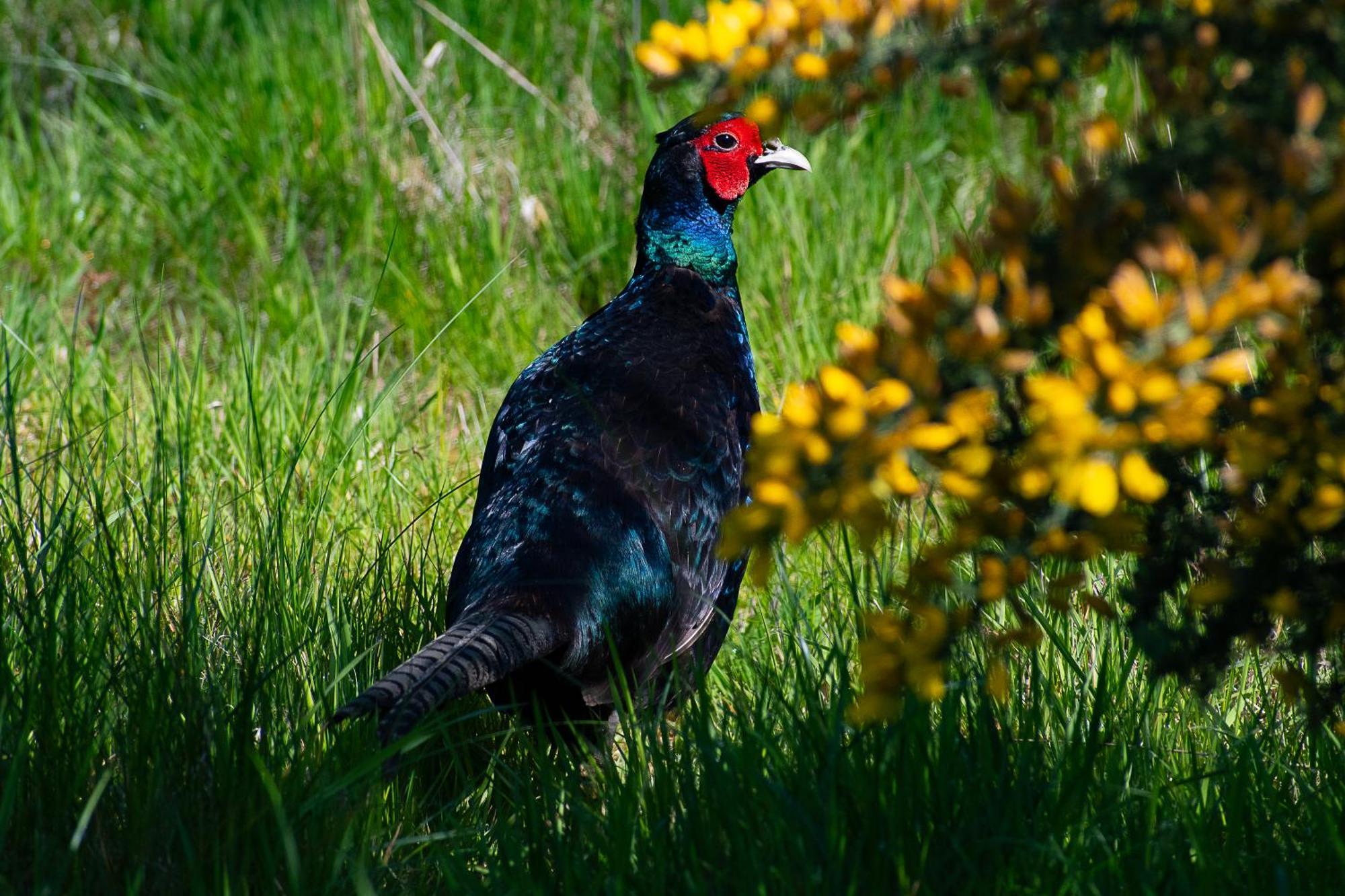 Отель Peppercorn Pod At Beck House Glamping Salmonby Экстерьер фото